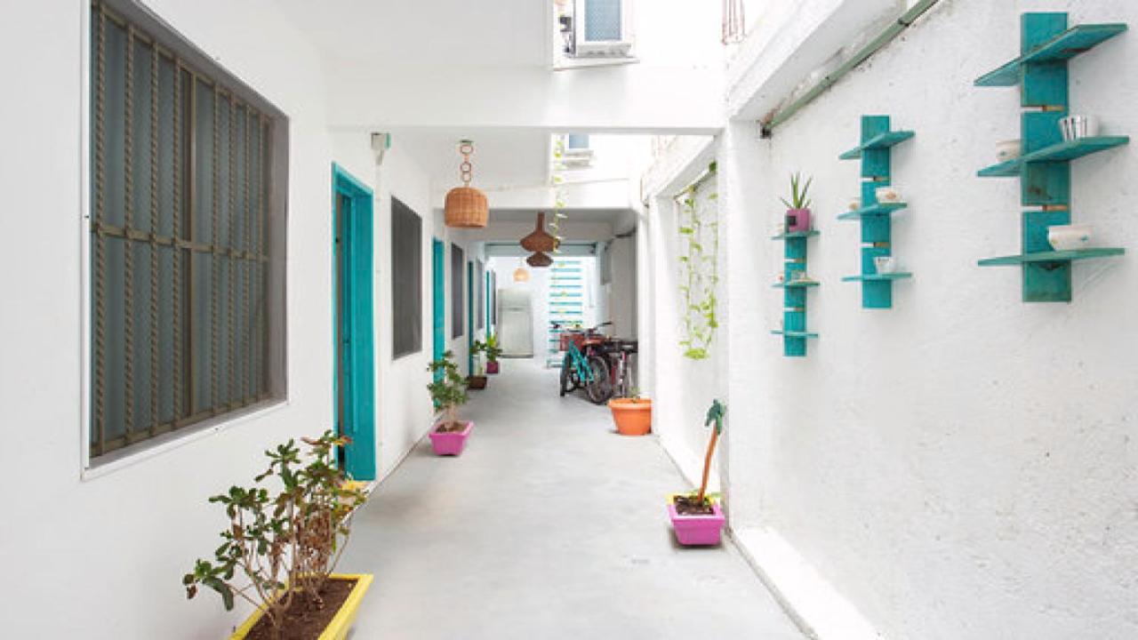 Casa Cálido Hotel Cozumel Kültér fotó