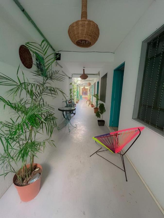 Casa Cálido Hotel Cozumel Kültér fotó