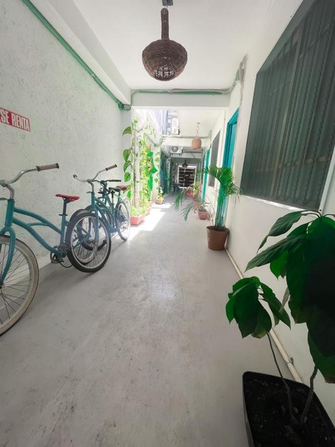 Casa Cálido Hotel Cozumel Kültér fotó